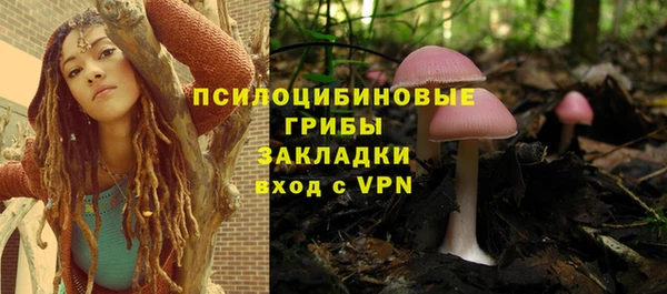 эйфоретик Белоозёрский