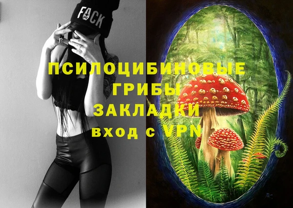 эйфоретик Белоозёрский