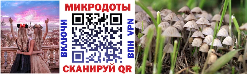 Псилоцибиновые грибы мицелий  что такое наркотик  Верхняя Пышма 