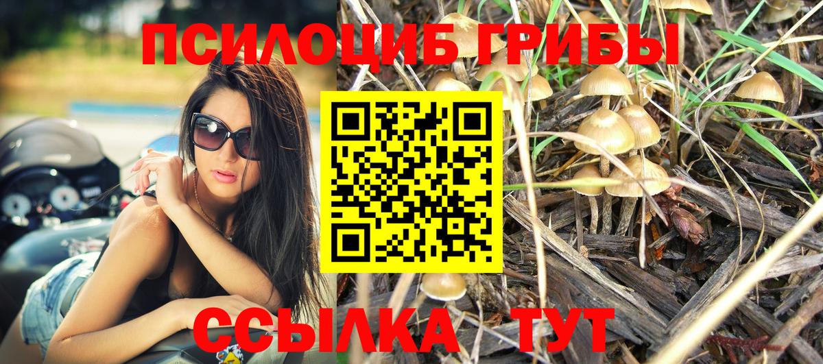 Верхняя Пышма  Псилоцибиновые грибы MAGIC MUSHROOMS  Вход с VPN 