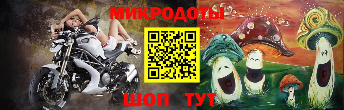 Псилоцибиновые грибы прущие грибы  Верхняя Пышма 