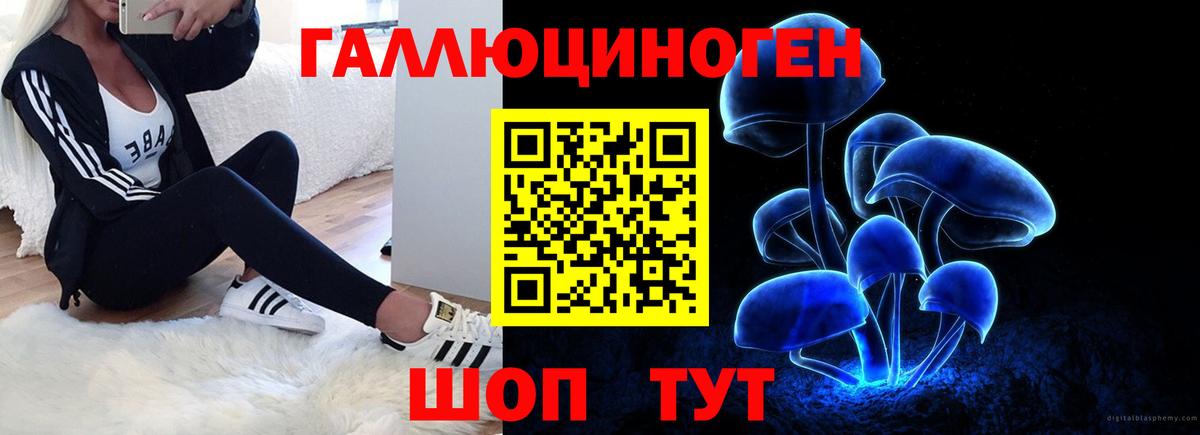 Галлюциногенные грибы MAGIC MUSHROOMS Верхняя Пышма