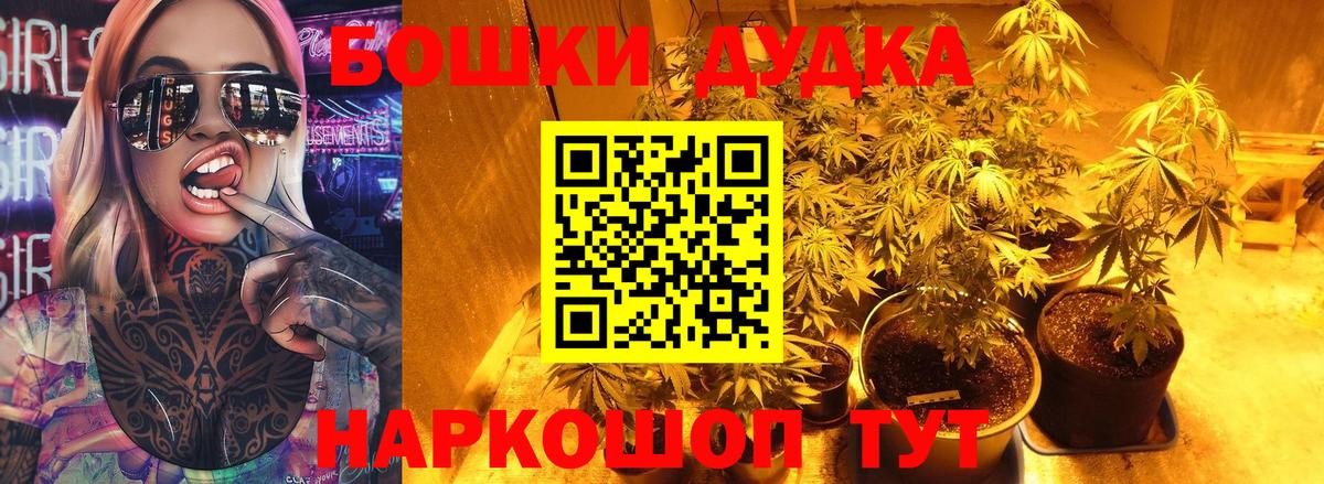 Канабис Amnesia Верхняя Пышма
